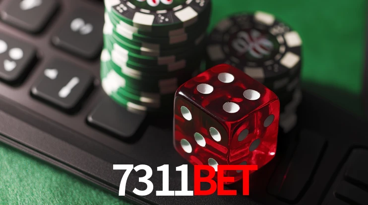 2FA Security 7311bet